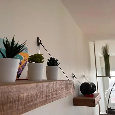 Nid Douillet Aux Sables - Le Cocoon D'arago Apartman *